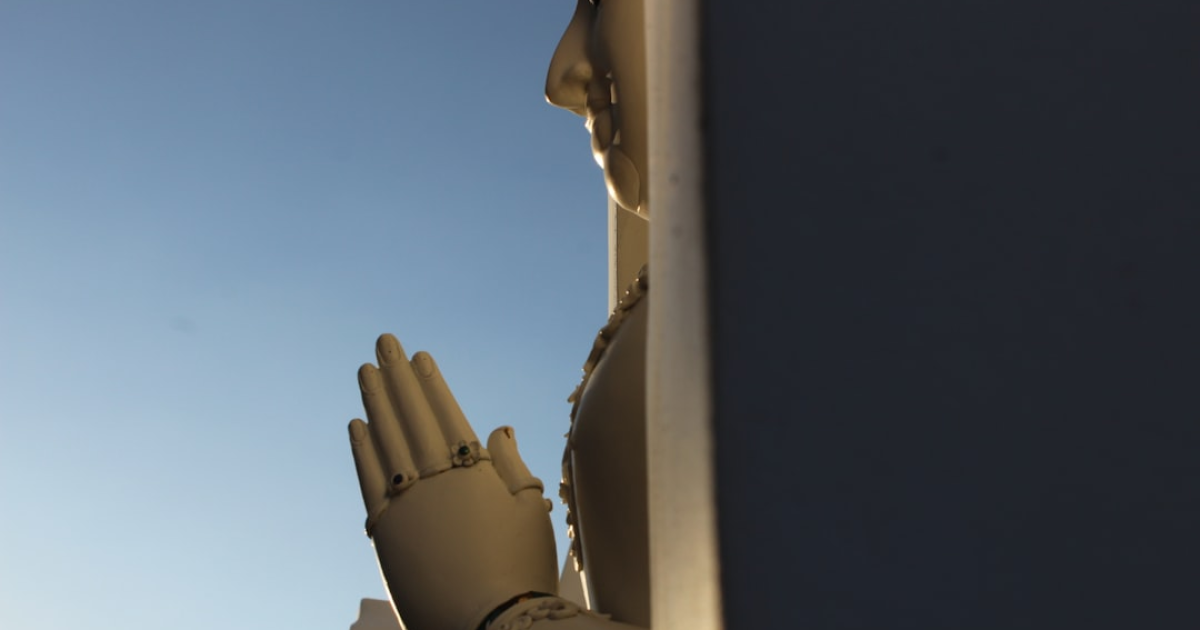 '봇'들의 소셜 네트워크, Moltbook가 인기를 얻다 관련 이미지