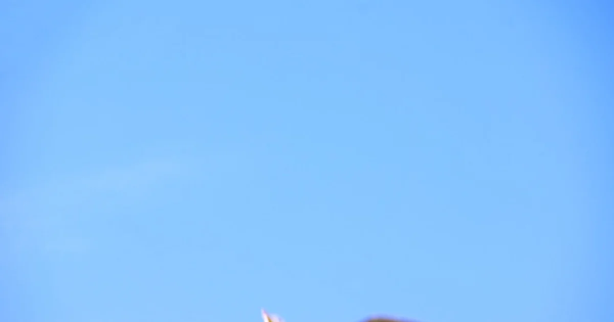 메타 CEO 마크 저커버그 주가 급락 모습