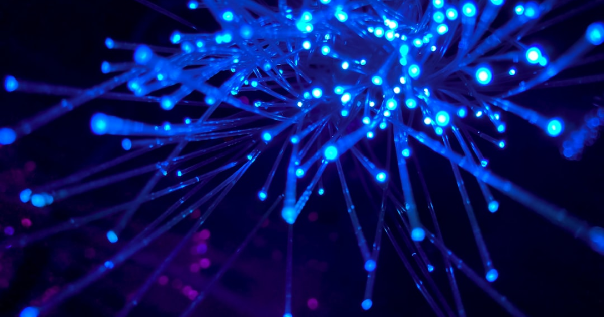 온라인 성착취, AI로 막는 서울시 / 전국 최초 '안심 ON 센터' 오픈 관련 이미지