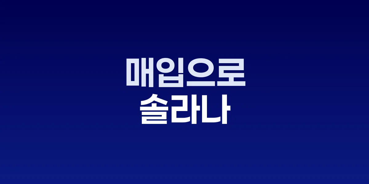 솔라나 기관 투자 급증과 조셉 치 매입 계획