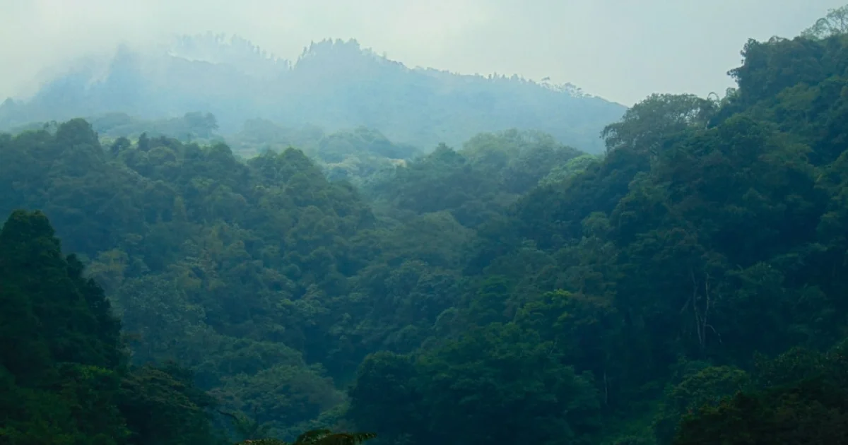 디지털산림 컨퍼런스 현장