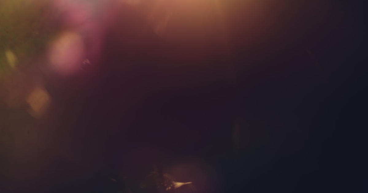 캄보디아 ODA 예산 급증 관련 국회 질의 장면