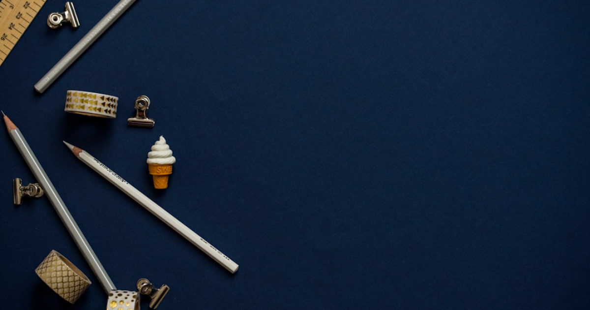 지역 의사 양성 /  10년 의무 근무 제도 도입