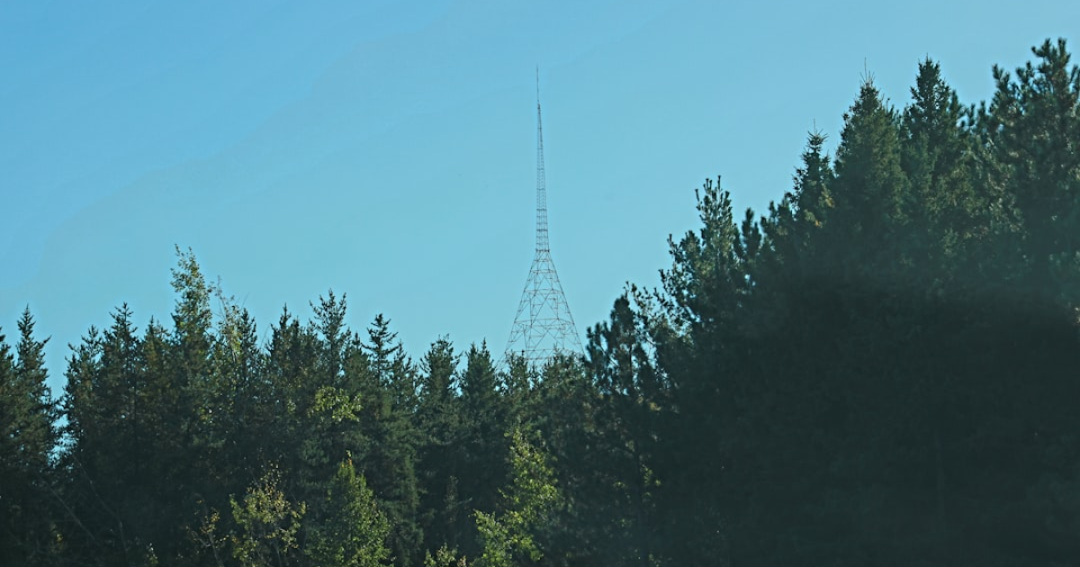 주요 피의자 출국… ‘전가의 보도’ 논란 재점화