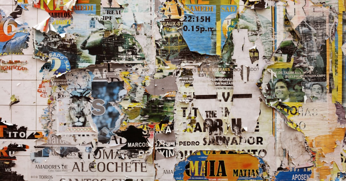 고양이 암, 새로운 암 치료 단서 / 사람과 유사 유전적 변이 발견