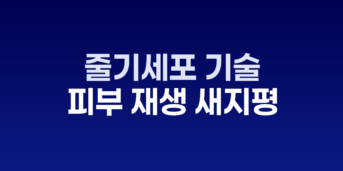 줄기세포 연구실과 배양 과정