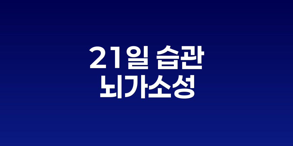 반복을 통해 강화되는 뇌의 습관 회로와 새로운 경로 형성 과정