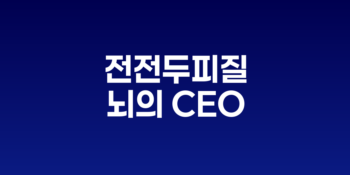 뇌의 전전두피질이 활성화되며 다양한 인지 기능이 강화되는 모습
