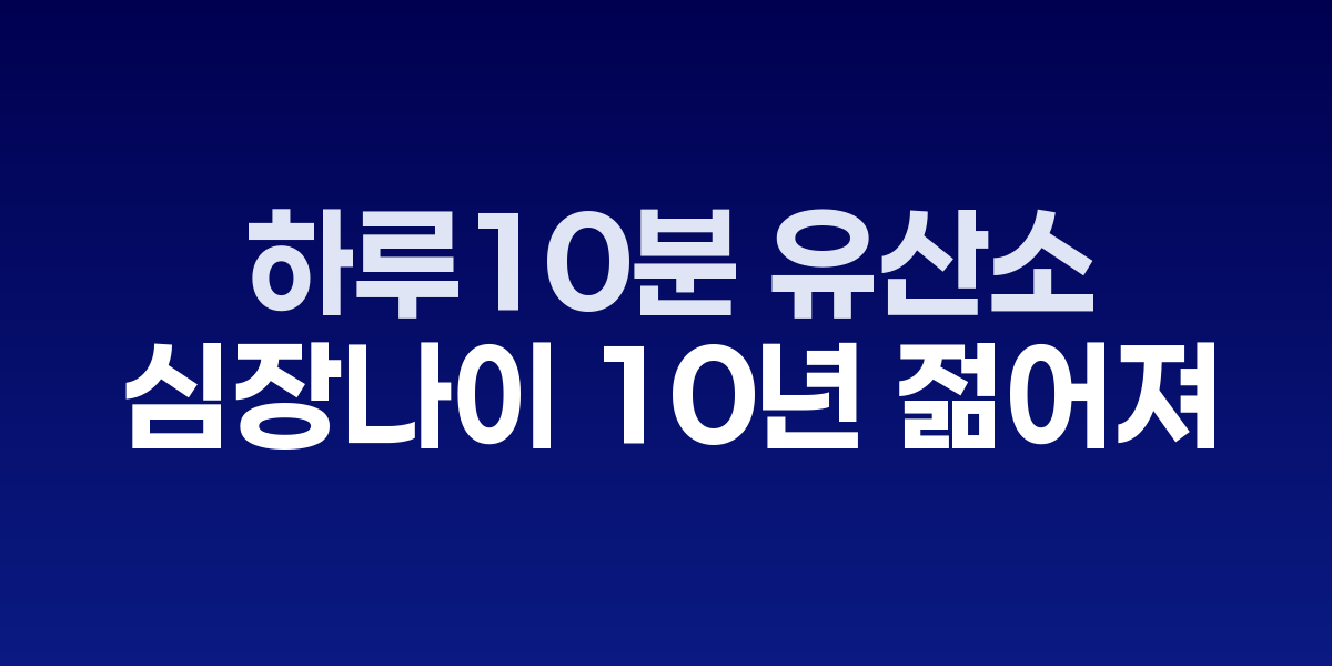 공원에서 가볍게 조깅하는 중년 남녀의 모습