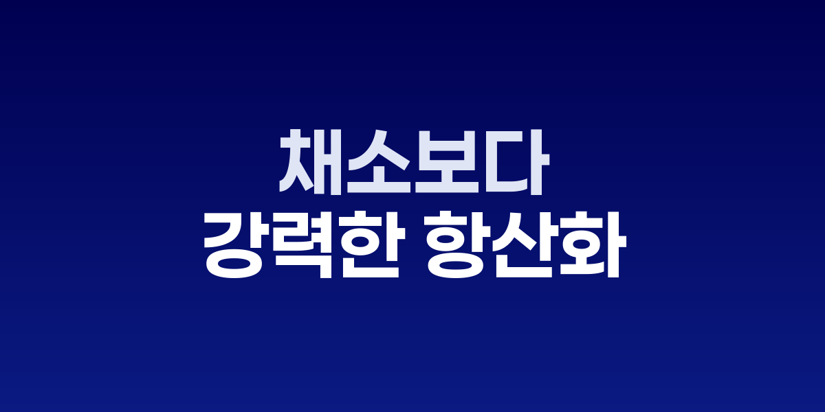 블루베리와 블랙커런트가 담긴 접시