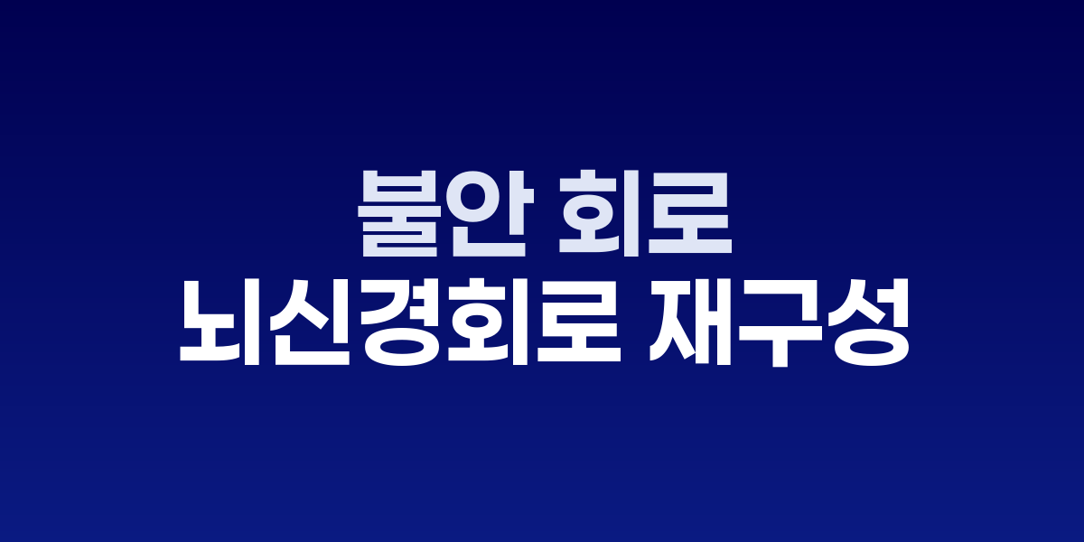 뇌의 편도체와 전대상회 연결 신경회로 이미지