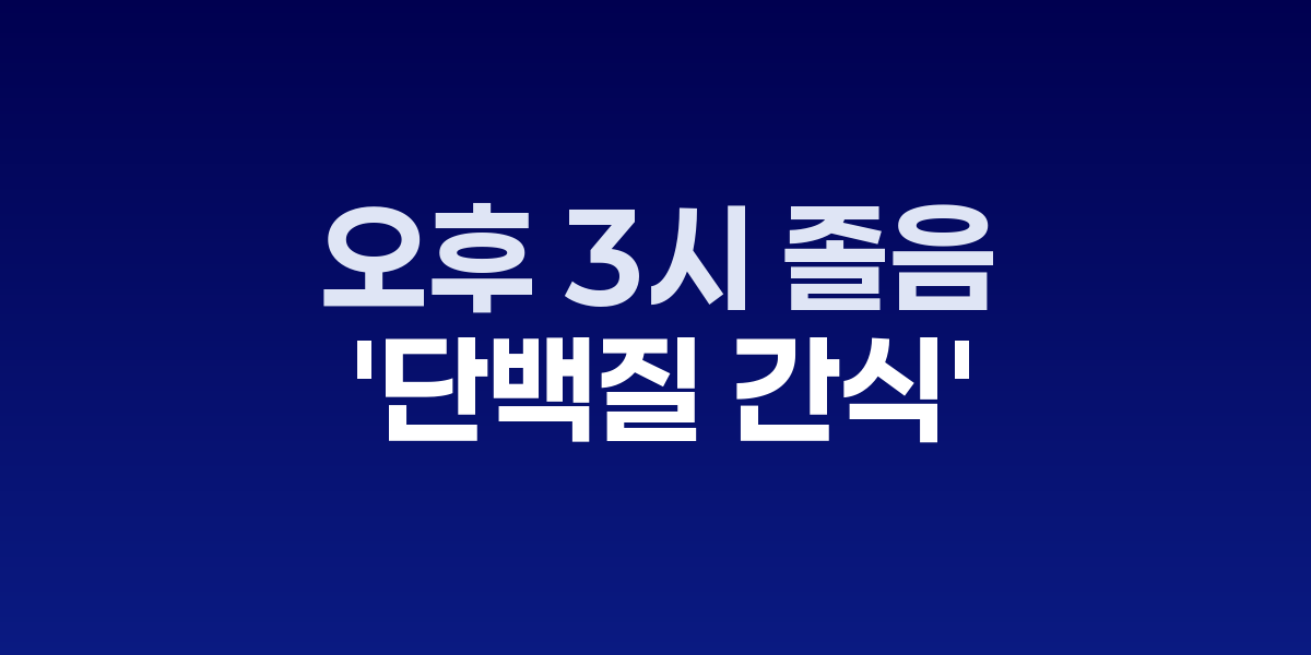 건강한 단백질 간식들이 담긴 도시락