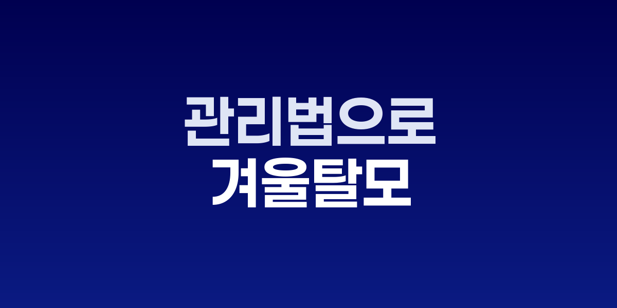 겨울철 두피 관리를 위한 올바른 샴푸와 건조 방법