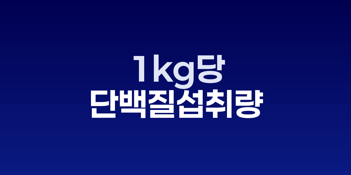 단백질 계산기와 다양한 단백질 식품들