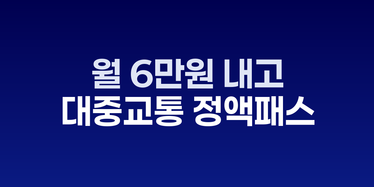대중교통 정액패스 카드와 지하철 이용 모습