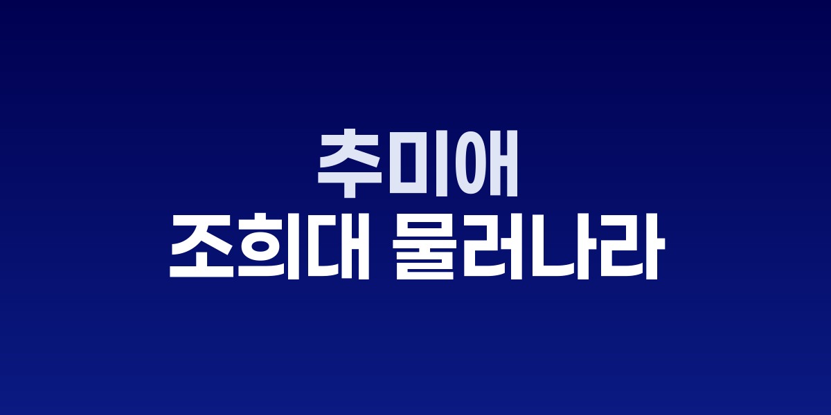 추미애 법사위원장이 국회에서 발언하는 모습