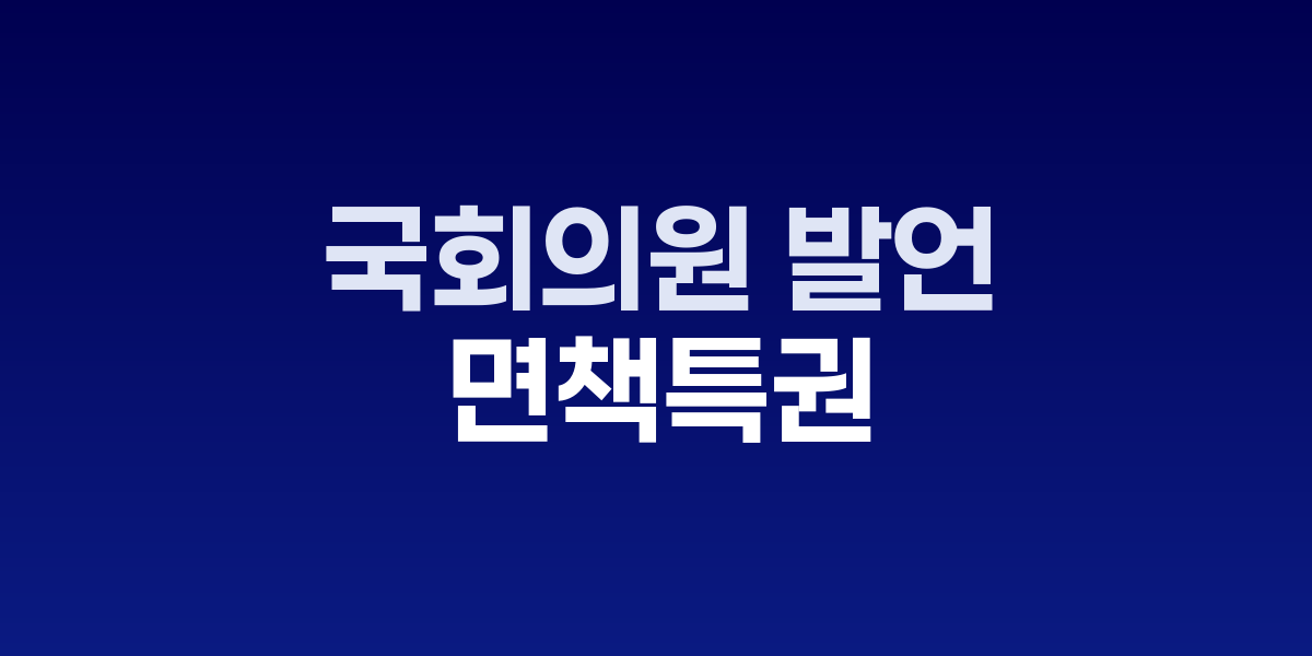 국회 본회의장에서 발언하는 국회의원 모습