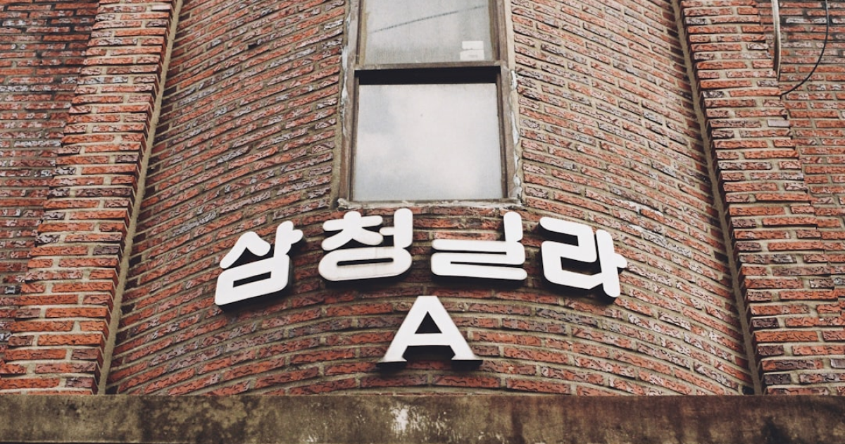 대전, 멧돼지 출몰…  주민 불안 고조 관련 이미지