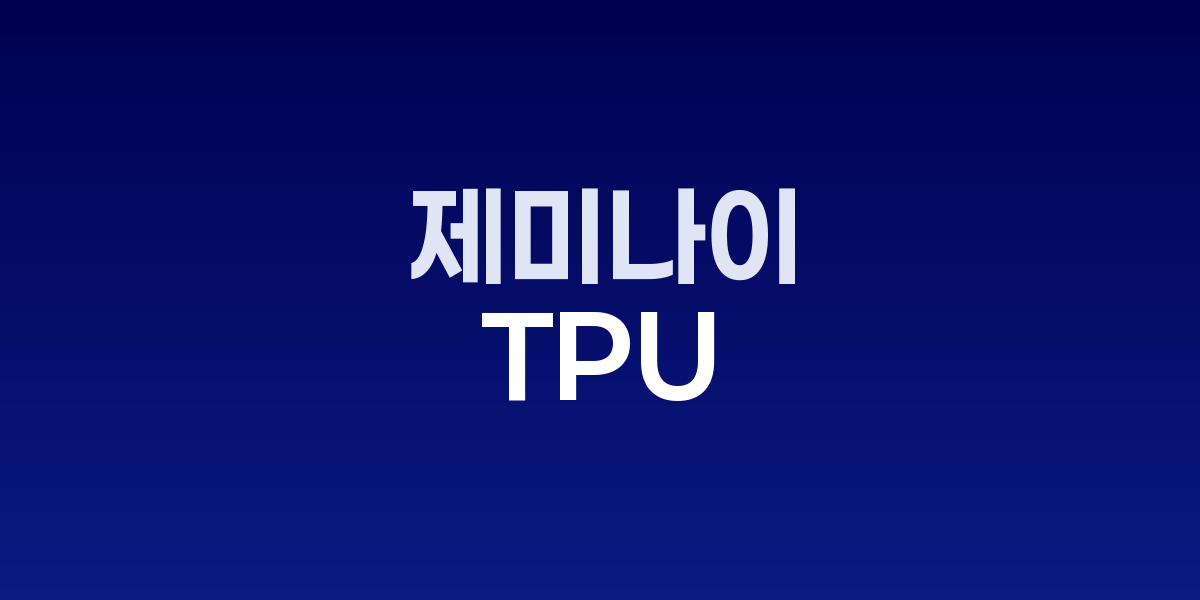 제미나이 3.0 TPU 기술 혁신