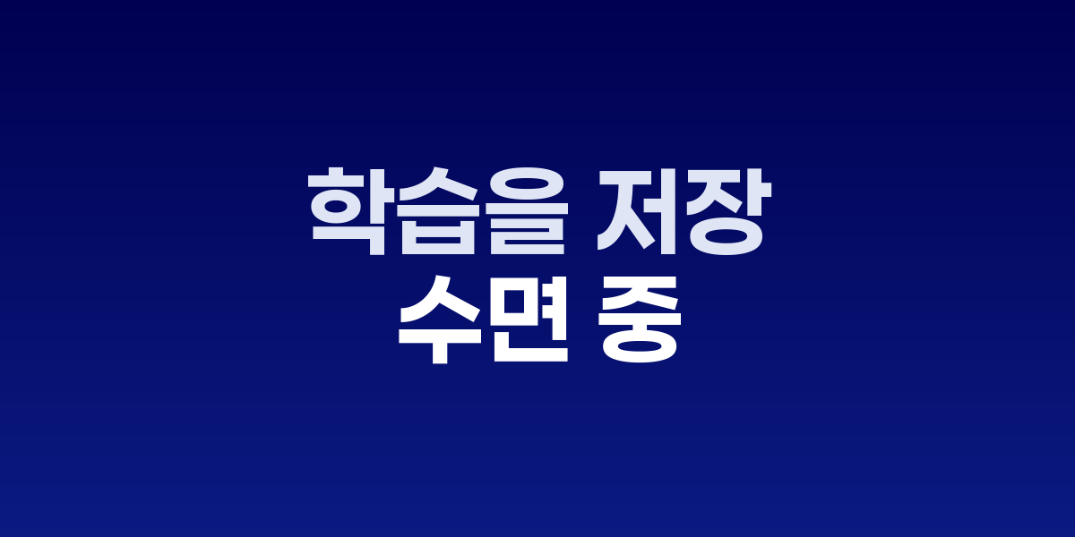 수면 중 뇌의 시냅스 다운스케일링 과정을 보여주는 이미지