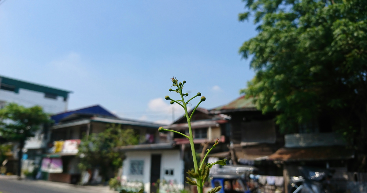국회에서 열린 국정감사 대책회의 모습