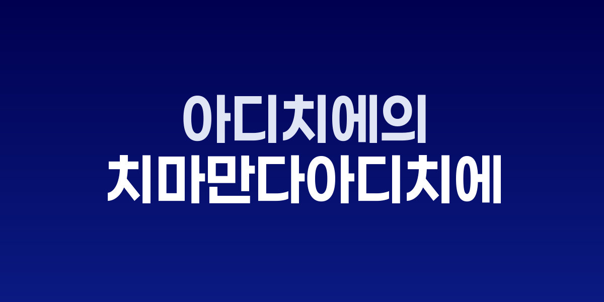 치마만다 응고지 아디치에와 Dream Count 책표지